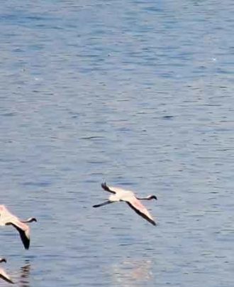 Lake View Tours