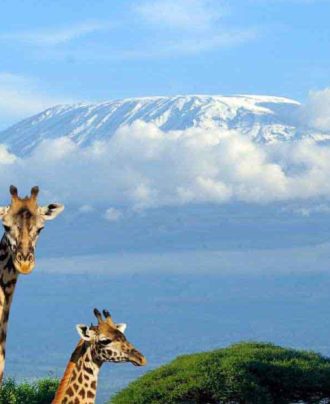 Mountain View Tours