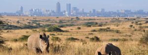 Nairobi National Park